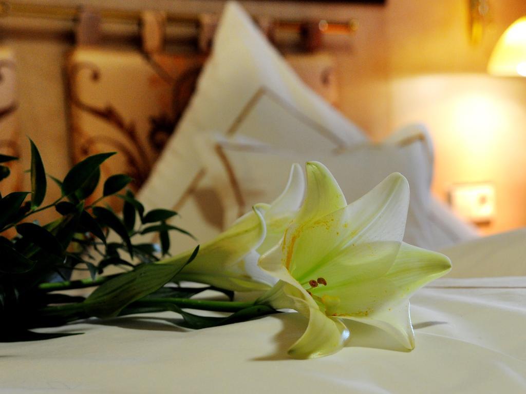 Wellness- Und Ferienhotel Waldesruh Боденмайс Номер фото